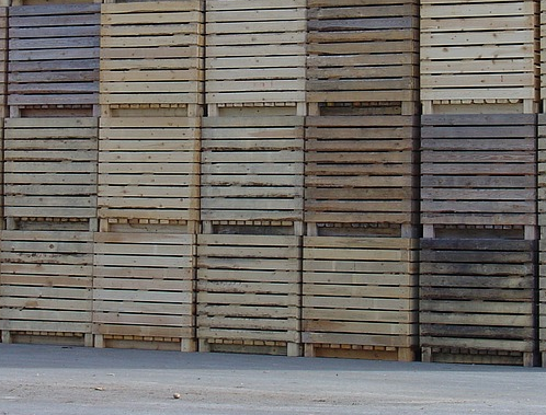 Mülltonnenbox Holz