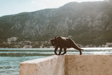 Mehr als nur Hilfe: Wie Hauspersonal Ihr Zuhause und Leben transformieren kann